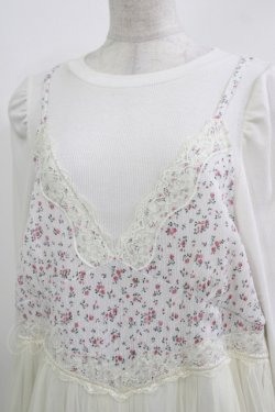 画像4: Candy Stripper / LINGERIE LAYERED DRESS 2 オフ H-26-03-27-012-PU-OP-KB-ZH