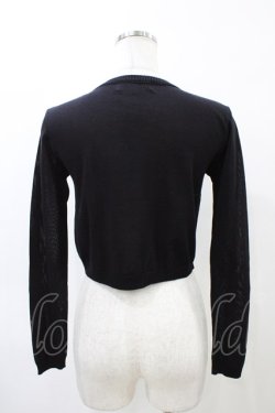 画像2: JESUS DIAMANTE / アントーニアカーデ 38 プリンセスJAPONローズ柄ブルーローズ H-26-03-28-062-JE-TO-NS-ZH