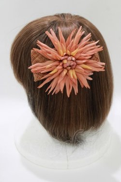 画像2: Jane Marple Dans Le Salon / ストローコサージュコーム  茶 H-26-03-30-081-JM-AC-KB-ZH