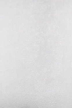 画像4: MILK / アリエルドレス  ホワイトシェル H-26-04-02-1032-ML-OP-KB-ZH