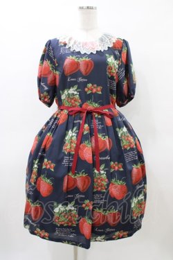 画像1: Leur Getter / Strawberry Garden袖付きワンピース L(トールサイズ) ネイビー H-26-04-02-1021-LU-OP-KB-ZH