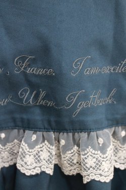 画像4: Amavel / Air Mail レースフリルスカート Free ブルー H-26-04-02-016-CA-SK-NS-ZH