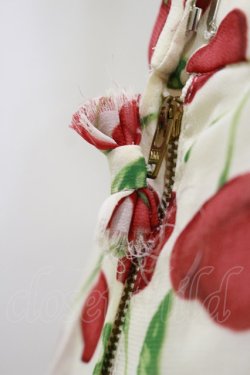 画像3: Jane Marple Dans Le Salon / Cherryスカート  アイボリー H-26-04-04-056-JM-SK-KB-ZH