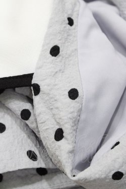 画像3: F&A / リップルドット柄クレリックワンピース Free L/GRAY×BK H-26-04-04-1041-LO-OP-NS-ZH