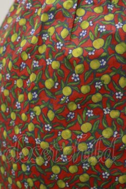 画像4: Jane Marple Dans Le Salon / Lemon groveのワンピース  レッド H-26-04-05-063-JM-OP-KB-ZH