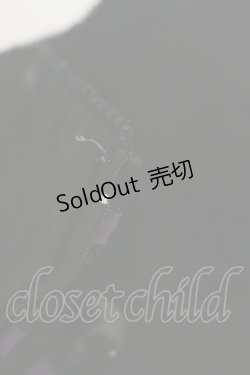 画像4: BPN / ナポレオンコルセット M 黒×紫 H-26-04-05-003-GO-ZA-AK-ZH