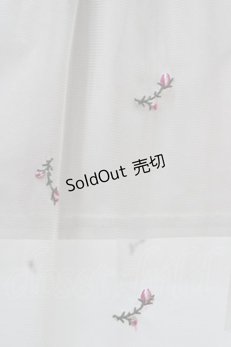 画像3: F i.n.t / ローズ総刺繍チュールワンピース Free BEIGE H-26-04-06-1031-0-OP-NS-ZH (3)
