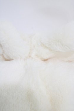 画像2: m petit by misako / リボンツキティペット  オフ H-26-04-06-1007-LO-ZA-NS-ZH