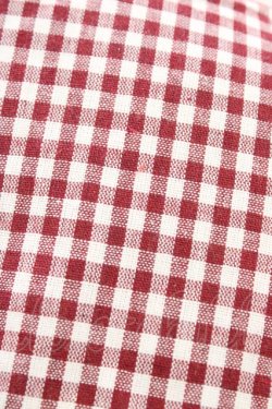 画像3: m petit by misako / AM*ギンガムCHKワンピース 3L レッド H-26-04-06-1018-LO-OP-NS-ZH