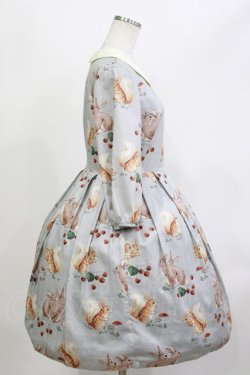 画像2: Leur Getter / Squirrel & Rabbit袖付ワンピース M サックス H-26-04-11-1004-LU-OP-KB-ZH