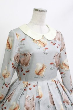 画像4: Leur Getter / Squirrel & Rabbit袖付ワンピース M サックス H-26-04-11-1004-LU-OP-KB-ZH