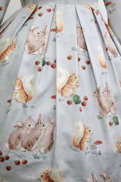 画像5: Leur Getter / Squirrel & Rabbit袖付ワンピース M サックス H-26-04-11-1004-LU-OP-KB-ZH
