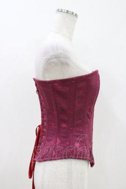 画像2: abilletage / レースプリントロングコルセット 3 ワイン H-26-04-12-1011-GO-TO-KB-ZH