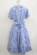画像3: Jane Marple / Picnic cloth joyfulドレス M ブルー H-26-04-12-005-JM-OP-KB-ZH (3)