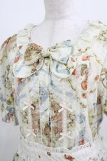 画像4: Miss Point（海外ロリータブランド） / 猫とバラのお茶会 前あきワンピース M 生成り H-26-04-13-1016-EL-OP-NS-ZH (4)