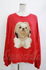 画像1: Candy Stripper / FUNNY PUPPY KNIT  レッド H-26-04-15-1005-PU-TO-KB-ZT0517H (1)