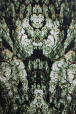 画像4: Ozz Croce / 総柄タンクトップ  緑 H-26-04-17-036-OO-TO-AK-ZH (4)