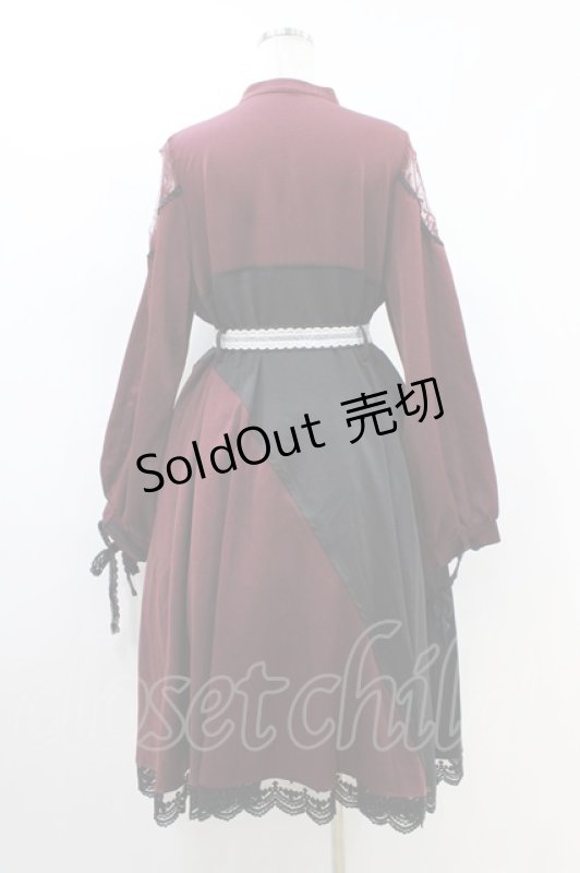 画像2: Favorite / 花束ワンピース XL ワイン H-26-04-19-1030-LO-OP-NS-ZH (2)