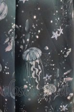 画像3: axes femme POETIQUE / ダークマリンバイカラーワンピース M ブルーグリーン H-26-04-19-1037-AX-OP-NS-ZH (3)