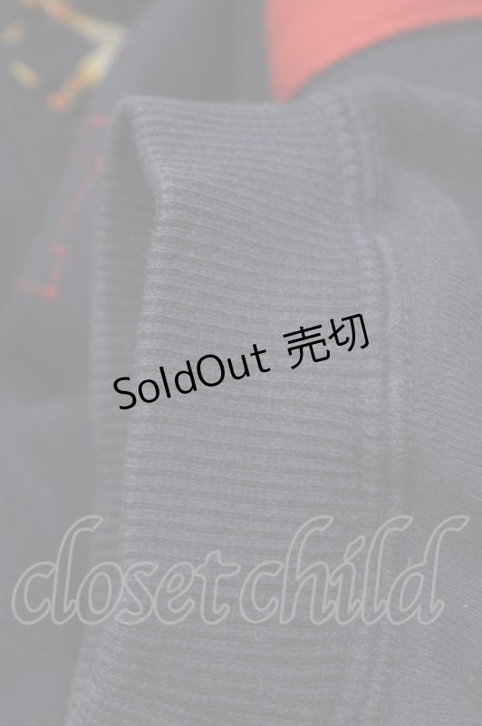 画像5: Karl Helmut / ペンギン刺繍トレーナー M ネイビー H-26-04-19-1057-EL-TO-NS-ZH (5)