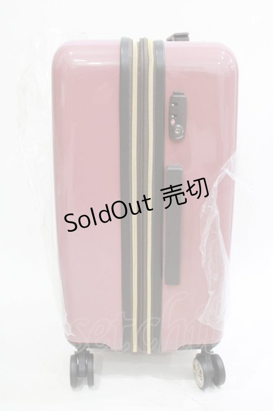 画像2: m petit by misako / AMハードキャリーN  ワイン H-26-04-21-082-LO-BG-NS-ZH (2)