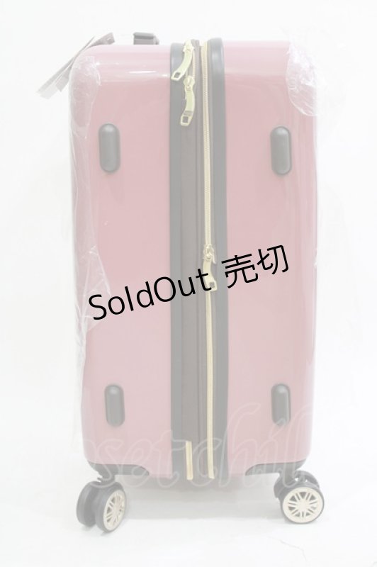 画像4: m petit by misako / AMハードキャリーN  ワイン H-26-04-21-082-LO-BG-NS-ZH (4)