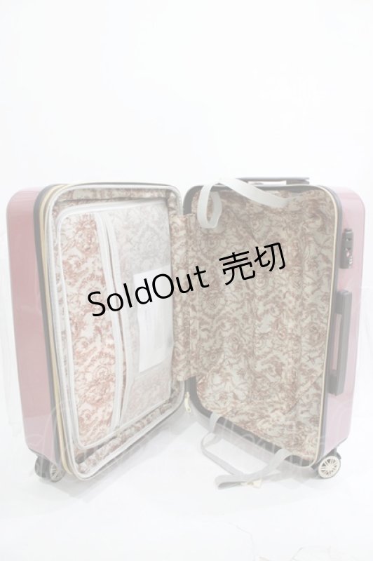 画像5: m petit by misako / AMハードキャリーN  ワイン H-26-04-21-082-LO-BG-NS-ZH (5)