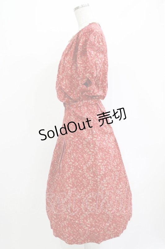 画像2: PINK HOUSE / レース衿ワンピース Free レッド H-26-04-21-009-LO-OP-NS-ZH (2)