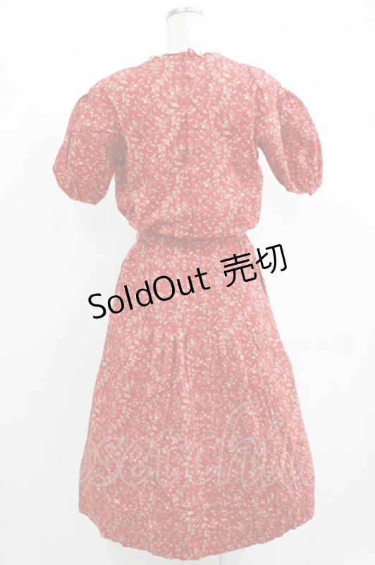 画像3: PINK HOUSE / レース衿ワンピース Free レッド H-26-04-21-009-LO-OP-NS-ZH (3)