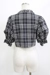 画像3: EATME / ボリュームスリーブブラウス Free ブラックチェック H-26-04-23-042-LO-BL-NS-ZH (3)