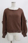 画像1: F&A / 袖ローズ刺繍ニットプルオーバー Free BROWN H-26-04-23-053-LO-TO-NS-ZH (1)