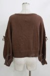 画像3: F&A / 袖ローズ刺繍ニットプルオーバー Free BROWN H-26-04-23-053-LO-TO-NS-ZH (3)