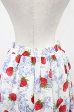 画像4: Jane Marple / A day in jouyフリルトリミングスカート  Blue×Silver grey H-26-04-26-1006-JM-SK-KB-ZH (4)