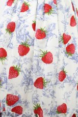 画像5: Jane Marple / A day in jouyフリルトリミングスカート  Blue×Silver grey H-26-04-26-1006-JM-SK-KB-ZH (5)