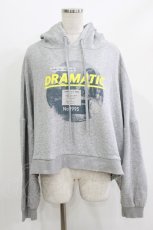 画像1: Candy Stripper / DRAMATIC HOODIE 2 グレー H-26-04-27-035-PU-TO-KB-ZH (1)
