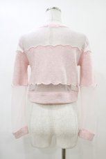 画像2: LIZ LISA / チュール切替トップス Free ピンク H-26-04-30-050-LO-TO-NS-ZH (2)