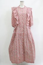 画像1: Jane Marple Dans Le Salon / CHARMIAN Agatha dress  rose H-26-05-06-008-JM-OP-KB-ZH (1)