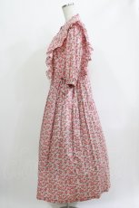 画像2: Jane Marple Dans Le Salon / CHARMIAN Agatha dress  rose H-26-05-06-008-JM-OP-KB-ZH (2)