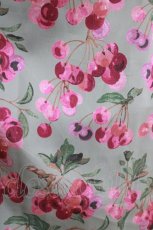 画像4: Jane Marple Dans Le Salon / Winter cherries day dress  ミント H-26-05-06-014-JM-OP-KB-ZH (4)