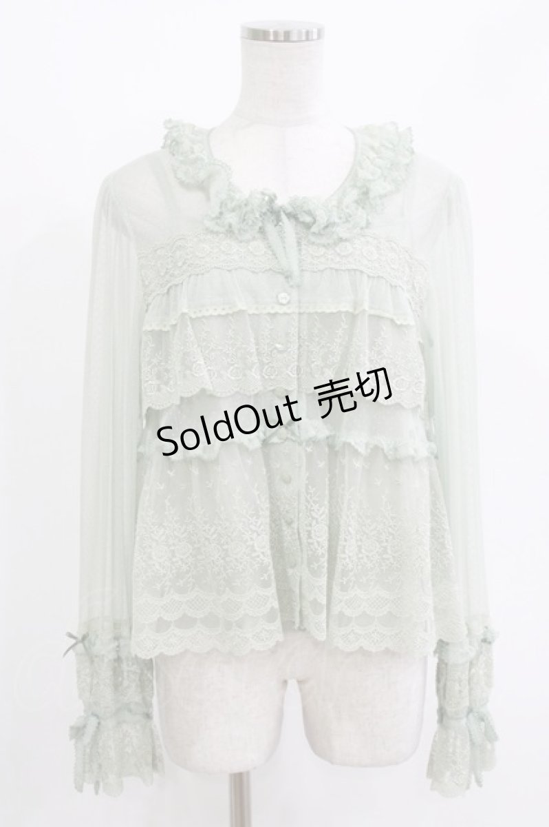 画像1: PINK HOUSE / ドットチュール×オリジナルローズチュールレースブラウス Free ハッカ H-26-05-07-040-LO-BL-NS-ZH (1)