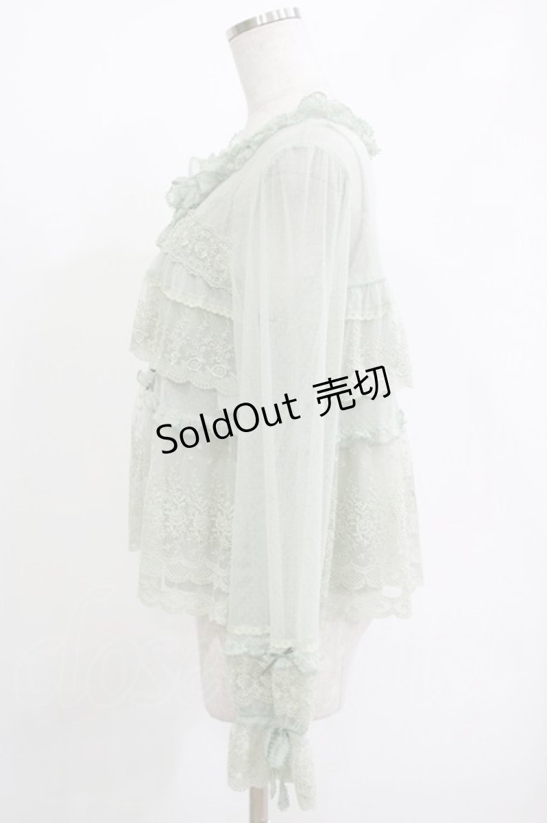 画像2: PINK HOUSE / ドットチュール×オリジナルローズチュールレースブラウス Free ハッカ H-26-05-07-040-LO-BL-NS-ZH (2)