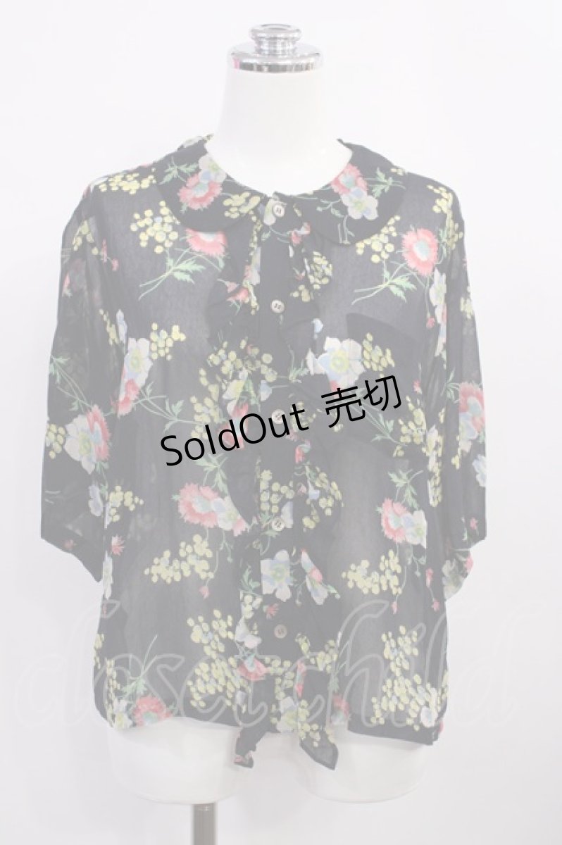 画像1: Jane Marple Dans Le Salon / Days of mimosas sheer frill blouse M ダークネイビー H-26-05-28-1030-JM-BL-AK-ZH (1)