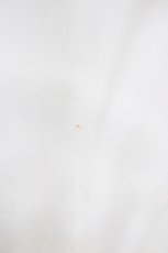 画像6: Swankiss / オーガンジーワンピース Free オフ H-26-06-04-1030-CA-OP-NS-ZH (6)