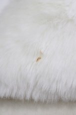 画像4: Angelic Pretty / Babydollコート Free オフ H-26-06-05-1018-AP-CO-NS-ZH (4)