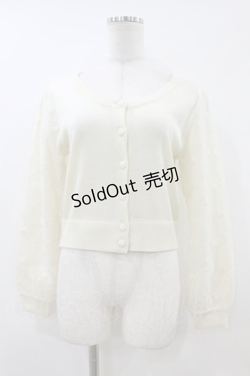 画像1: an another angelus / 刺繍カーディガン Free IVORY H-26-06-28-2053-CA-TO-NS-ZH (1)