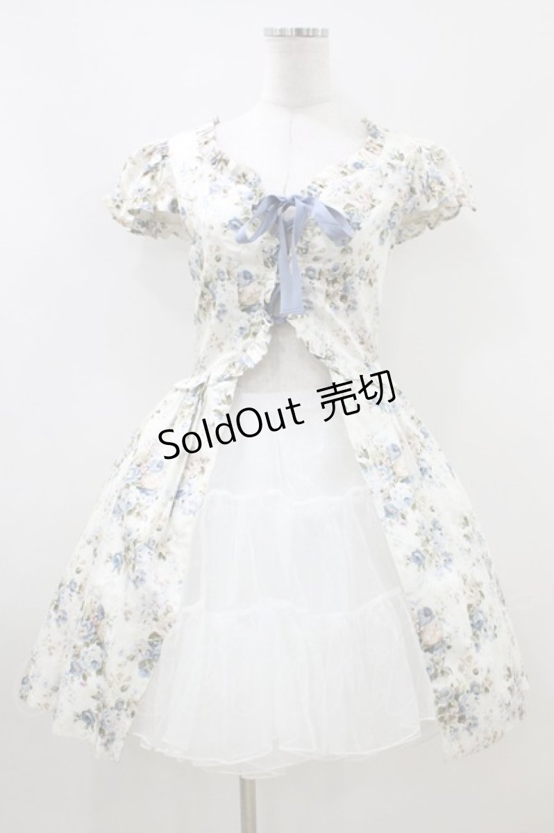 画像1: Victorian maiden / ロココブーケレースアップオーバードレス Free ロココブルー H-26-06-29-2010-CL-OP-NS-ZH (1)