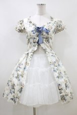 画像1: Victorian maiden / ロココブーケレースアップオーバードレス Free ロココブルー H-26-06-29-2010-CL-OP-NS-ZH (1)