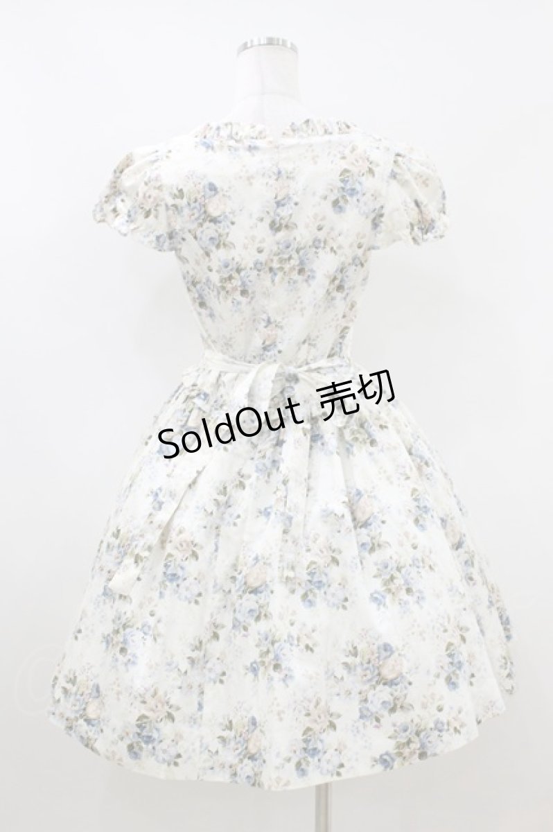 画像3: Victorian maiden / ロココブーケレースアップオーバードレス Free ロココブルー H-26-06-29-2010-CL-OP-NS-ZH (3)