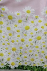画像4: MILK / Daisy field LADY ドレス  ピンクガーデン H-26-07-06-1021-ML-OP-KB-ZH (4)
