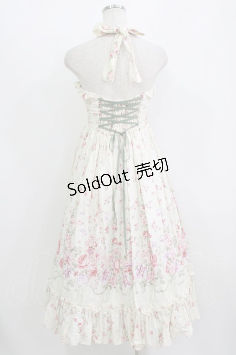 画像3: Victorian maiden / ローズガーデンロングドレス Free afternoon rose H-26-07-11-047-CL-OP-NS-ZH (3)